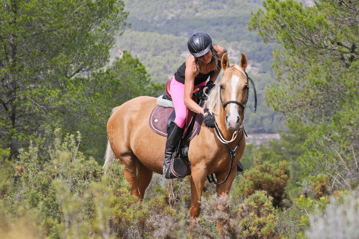 Joint work between horse and rider through equine osteopathy and physiotherapy