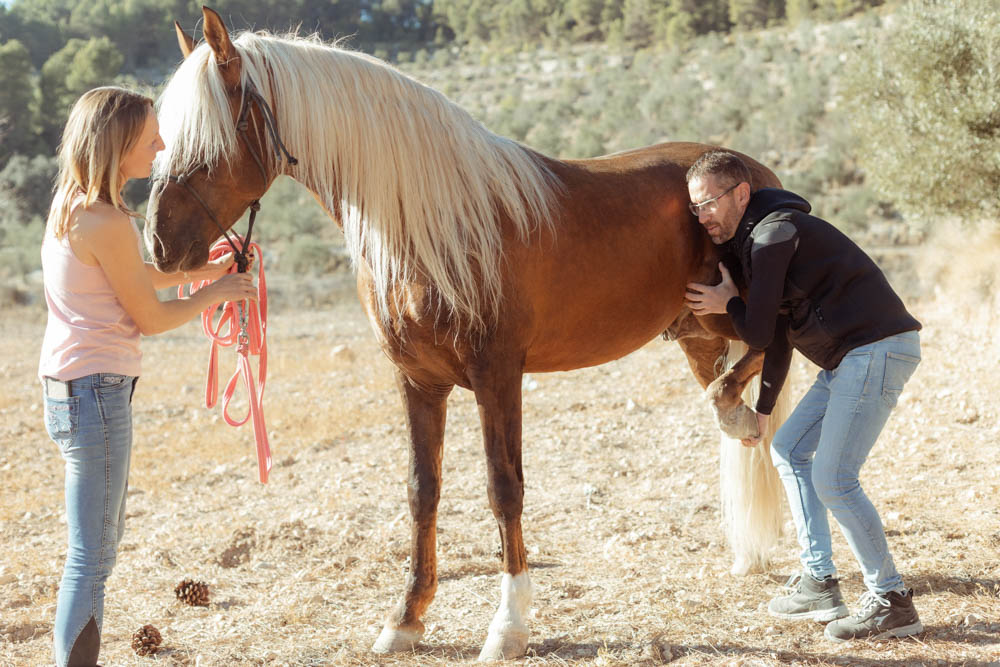 Combined approach with equine osteopathy and rider physiotherapy